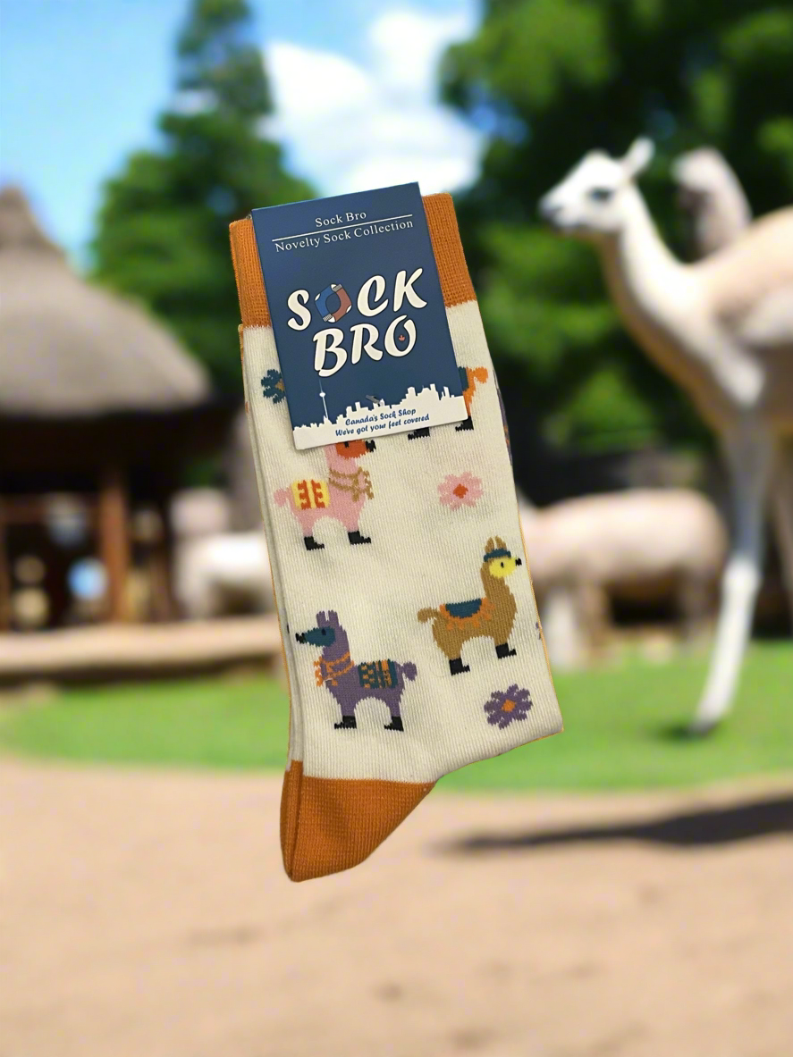 White Colourful Llama Socks