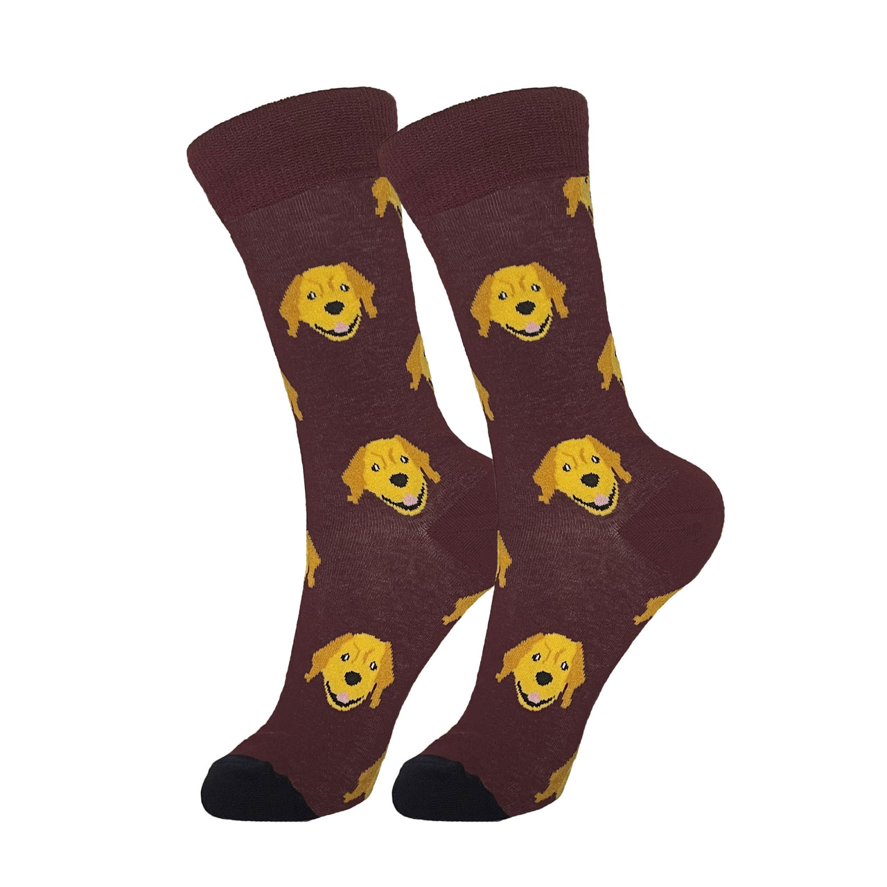 Golden Retriever Socks